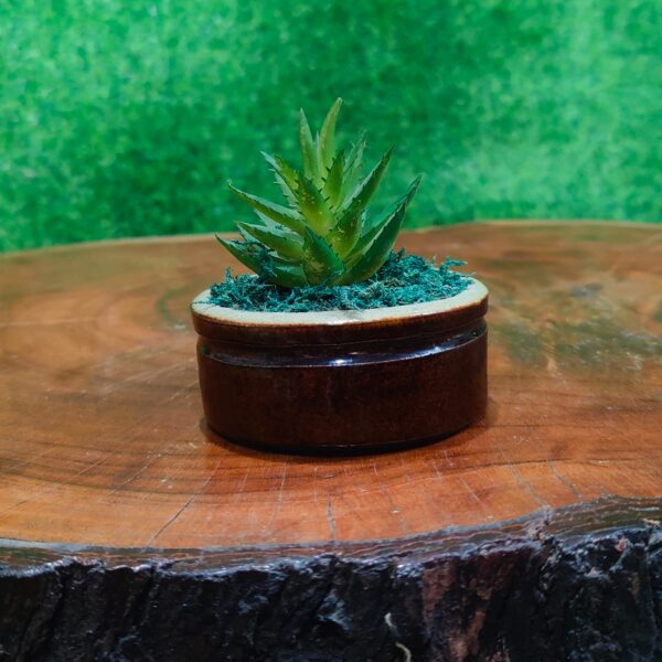 Alovera Artificial Pot